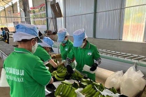 Hoàng Anh Gia Lai (HAG): Chốt quyền dự ĐHĐCĐ và tất toán 700 tỷ đồng nợ trái phiếu