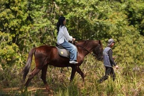 Trải nghiệm cưỡi ngựa giữa rừng già Măng Đen