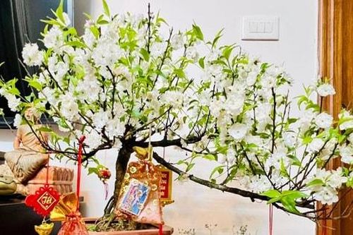 Mua muối đầu năm, nét đẹp bình dị