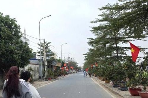 Trên những nẻo đường xuân ở Hồng Sơn