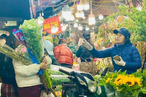 Những loại hoa nào được chị em 'săn đón' trong dịp Tết 2026?