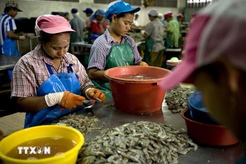 Thái Lan gia hạn làm giấy phép làm việc cho lao động Việt Nam