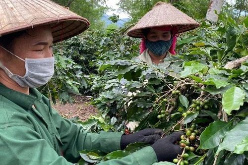 Tạo động lực, thúc đẩy giảm nghèo bền vững