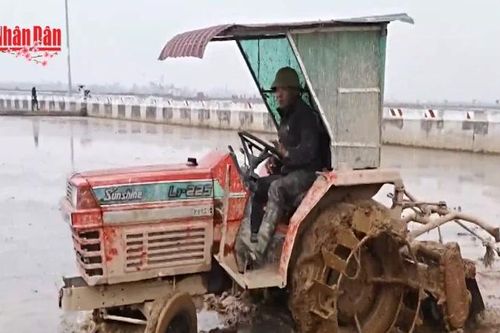 Hà Nội: Nông dân rộn ràng xuống đồng đầu xuân
