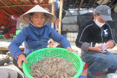 Chuyến biển đầu năm thắng lợi, ngư dân Hà Tĩnh phấn khởi vươn khơi