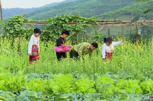 Chăm lo tết cho con nuôi đồn biên phòng
