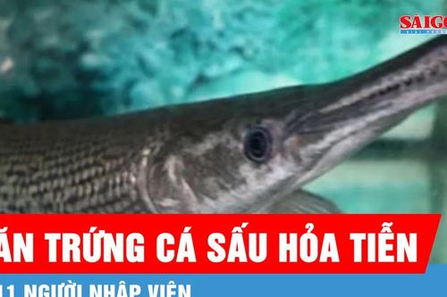 Thanh Hóa: 11 người nhập viện vì ăn trứng cá sấu hỏa tiễn