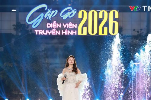 Ngọc Anh gây xúc động với nhạc phim Gió ngang khoảng trời xanh tại Gặp gỡ diễn viên truyền hình 2026