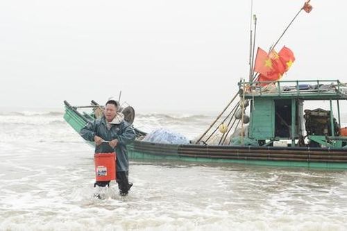 Ngư dân vươn khơi hái lộc biển đầu năm, mang về thuyền đầy tôm, cá
