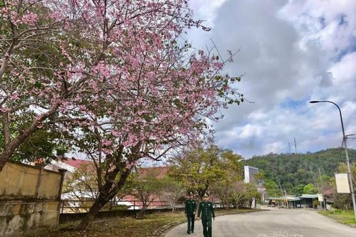 Xuân mới nơi phên dậu Tây Bắc