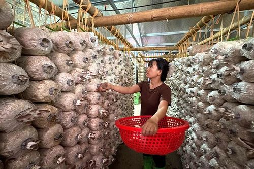 Xuân về, Thành Vinh thêm tự tin và hy vọng