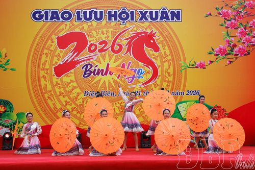 Sôi động vũ khúc chào xuân 2026