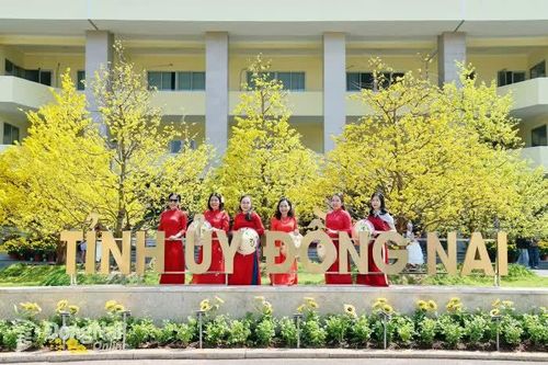 [Chùm ảnh] Vườn mai trong khuôn viên Tỉnh ủy Đồng Nai rực rỡ ngày mùng 5 Tết