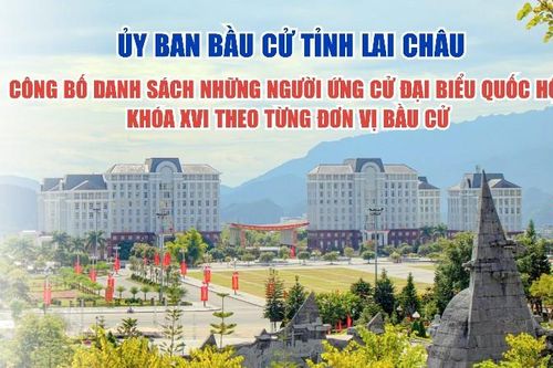 Công bố danh sách những người ứng cử đại biểu Quốc hội khóa XVI theo từng đơn vị bầu cử