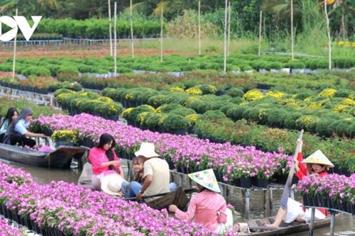 Sa Đéc (Đồng Tháp): Khám phá 'vương quốc' hoa kiểng trăm tuổi lớn nhất miền Tây