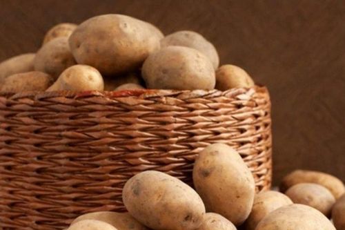 Mẹo bảo quản thực phẩm: 9 loại đồ ăn tuyệt đối không nên tích trữ trong tủ lạnh