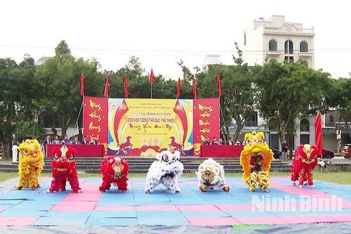 Tổ chức hoạt động thể dục thể thao mừng Xuân Bính Ngọ tại phường Hoa Lư