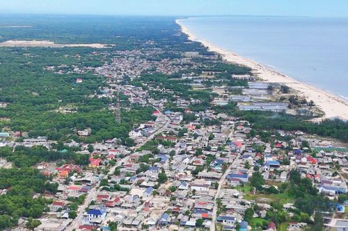 Tàu lên tiếng gọi, xương rồng nở hoa