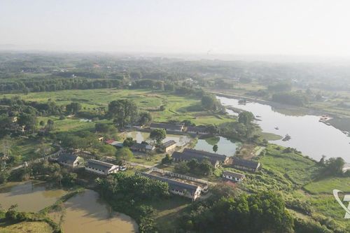 Tiến sĩ Tạ Văn Cần và giấc mơ kỵ mã trời Nam