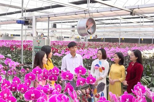 Lan tỏa mô hình nông nghiệp chất lượng cao