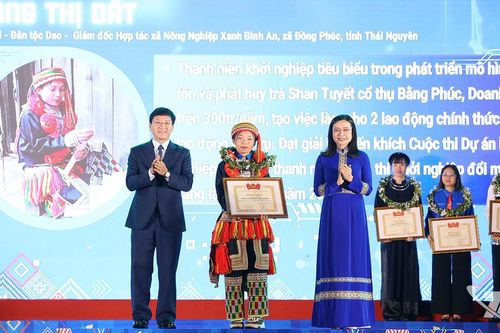 'Đánh thức vàng xanh' ở bản Dao Phiêng Phung