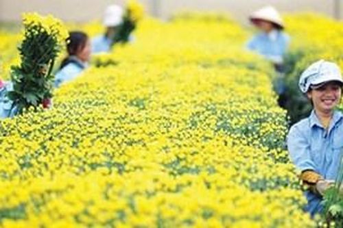 Giữ gìn nét Huế nơi xa