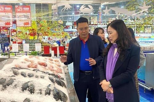Giá cả 5 ngày đầu Xuân Bính Ngọ ổn định, nguồn cung dồi dào