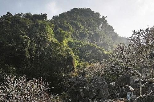 Khám phá chùa Hương theo một cách khác