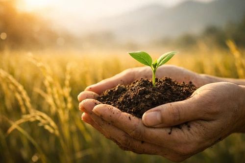 Gieo nhân tốt, có đức mặc sức mà ăn