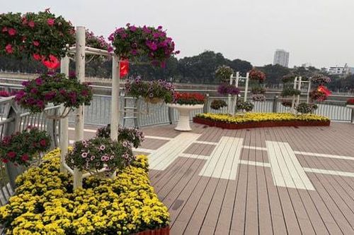 Công viên Nghĩa Đô - điểm đến hấp dẫn ngày xuân