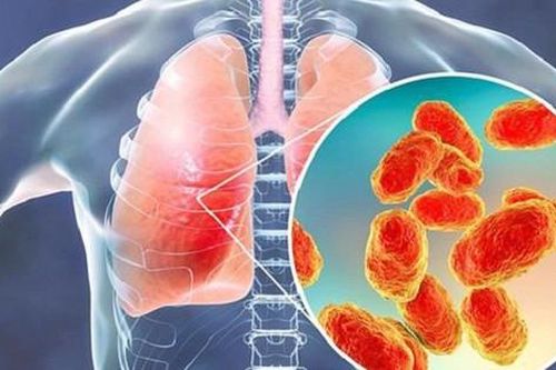 Nguy cơ viêm phổi và viêm phế quản gia tăng trong mùa đông - xuân