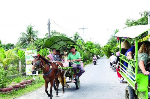 'Lốc cốc' vó ngựa trời Nam