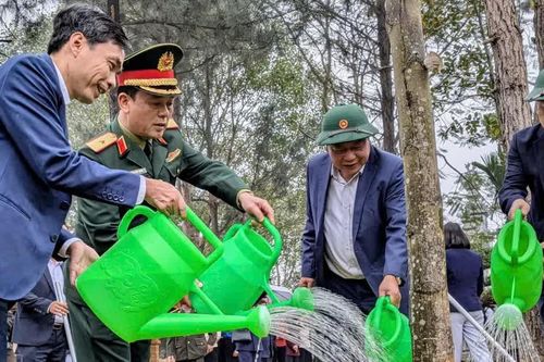 Xã Đoài Phương phát động Tết trồng cây