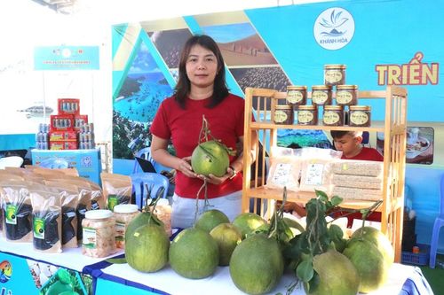 Khánh Hòa: Mức thu nhập bình quân của người lao động đạt gần 13 triệu đồng/tháng