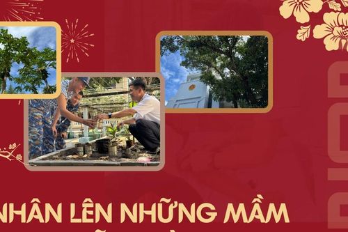 Nhân lên những mầm xanh giữa trùng khơi