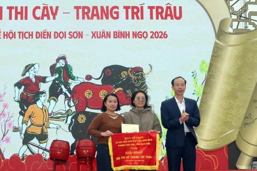 Độc đáo Hội thi trang trí trâu Lễ hội Tịch điền Đọi Sơn