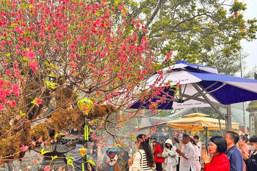 Lễ hội đầu xuân tại Đền Chợ Củi Hà Tĩnh thu hút hàng vạn du khách