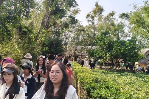 Xuân về làng Sen, hàng vạn trái tim hướng về quê Bác