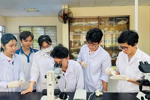 'Nâng chất' giáo viên: Động lực từ chính sách bền vững