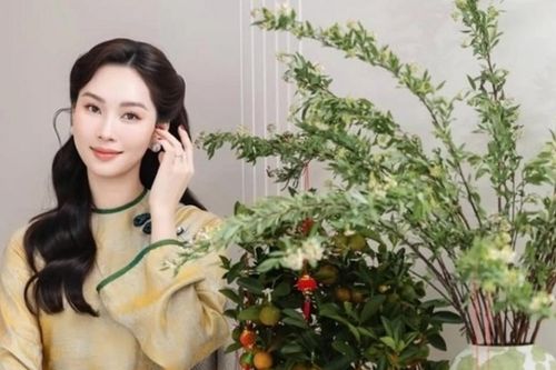 Hoa hậu Đặng Thu Thảo trang hoàng nhiều loại cây, hoa hút tài lộc ngày Tết