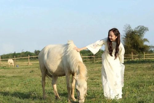 Bạch mã dưới chân Thiên Mã
