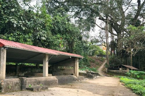 Cả làng ở Thanh Hóa bảo vệ giếng cổ, Tết đến lại ra lấy nước cầu may