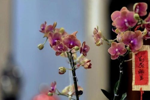 Sau Tết, điều còn đọng lại là gì?