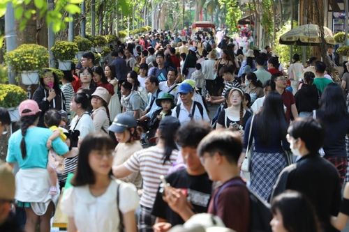 TPHCM: Đường hoa, khu vui chơi ken đặc khách ngày cuối kỳ nghỉ Tết Bính Ngọ