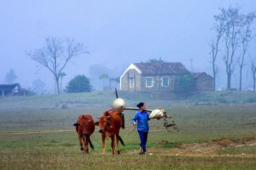 Nhớ về nguyên quán