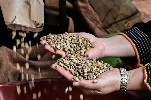 Một loại hạt giúp Việt Nam thắng đậm trên thế giới, mang về gần 9 tỷ USD