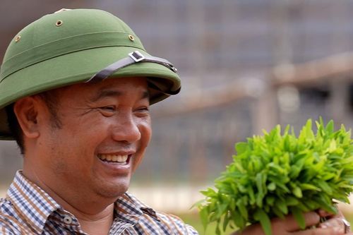 Tiến sĩ Vũ Văn Thoại và hành trình đưa 'vàng xanh' đàn hương từ Việt Nam sang châu Phi