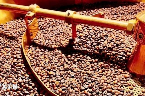 Biến đổi khí hậu tác động tiêu cực tới ngành càphê toàn cầu
