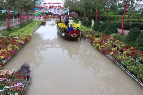 Du lịch Đồng Tháp khởi sắc dịp Tết