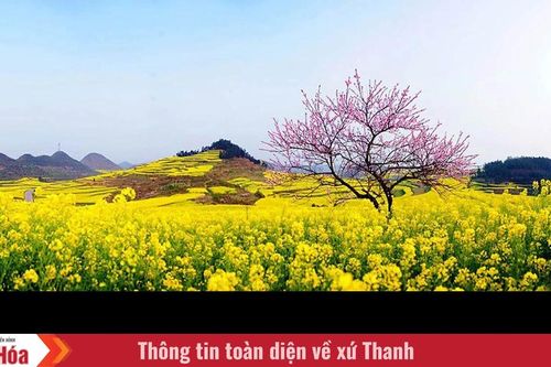 Hương tháng Giêng